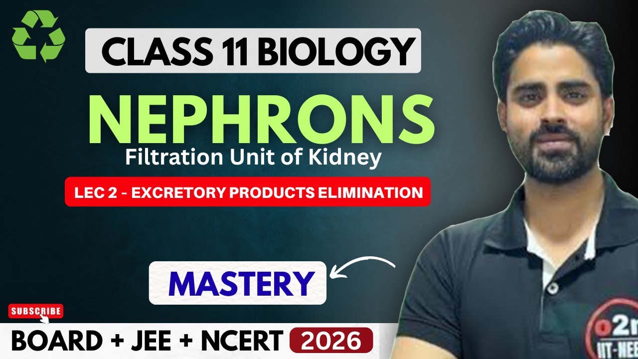 Nephrons Filtration Unit of Kidney | Excretory Products Elimination Class 11 Lecture 2 | NEET
