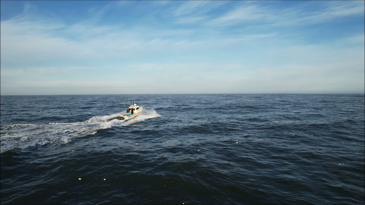 Westport Grays Harbor Bar crossing at MAX EBB for Halibut.