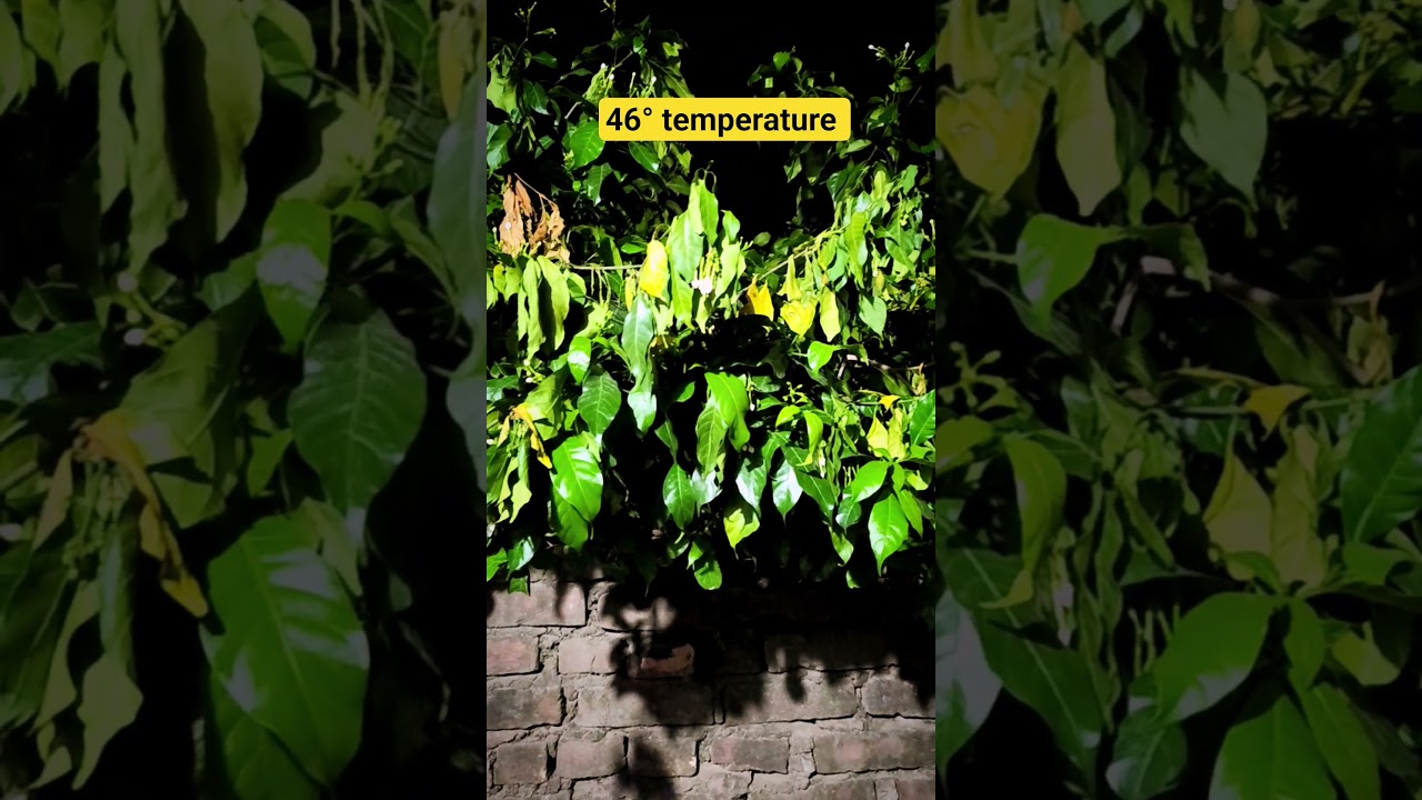 El Ni&ntilde;o #summer #temperature #monsoon #bihar #hotdays #sunnyday