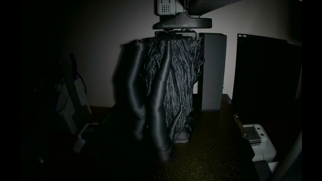 Treebeard Print Timelapse