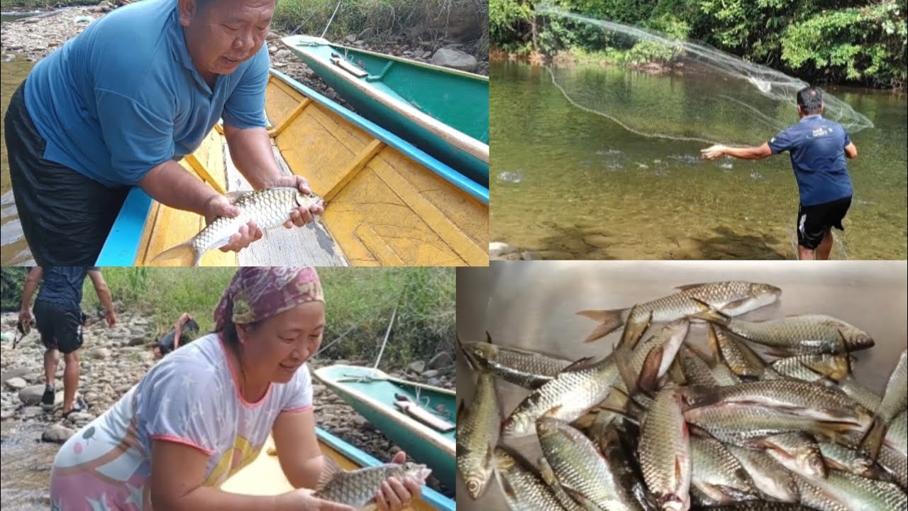 MEJALA IKAN DI LUBOK PANTU SISTEM TAGANG DAN BAGI IKAN MAKAN #ukaisenangkasenang 