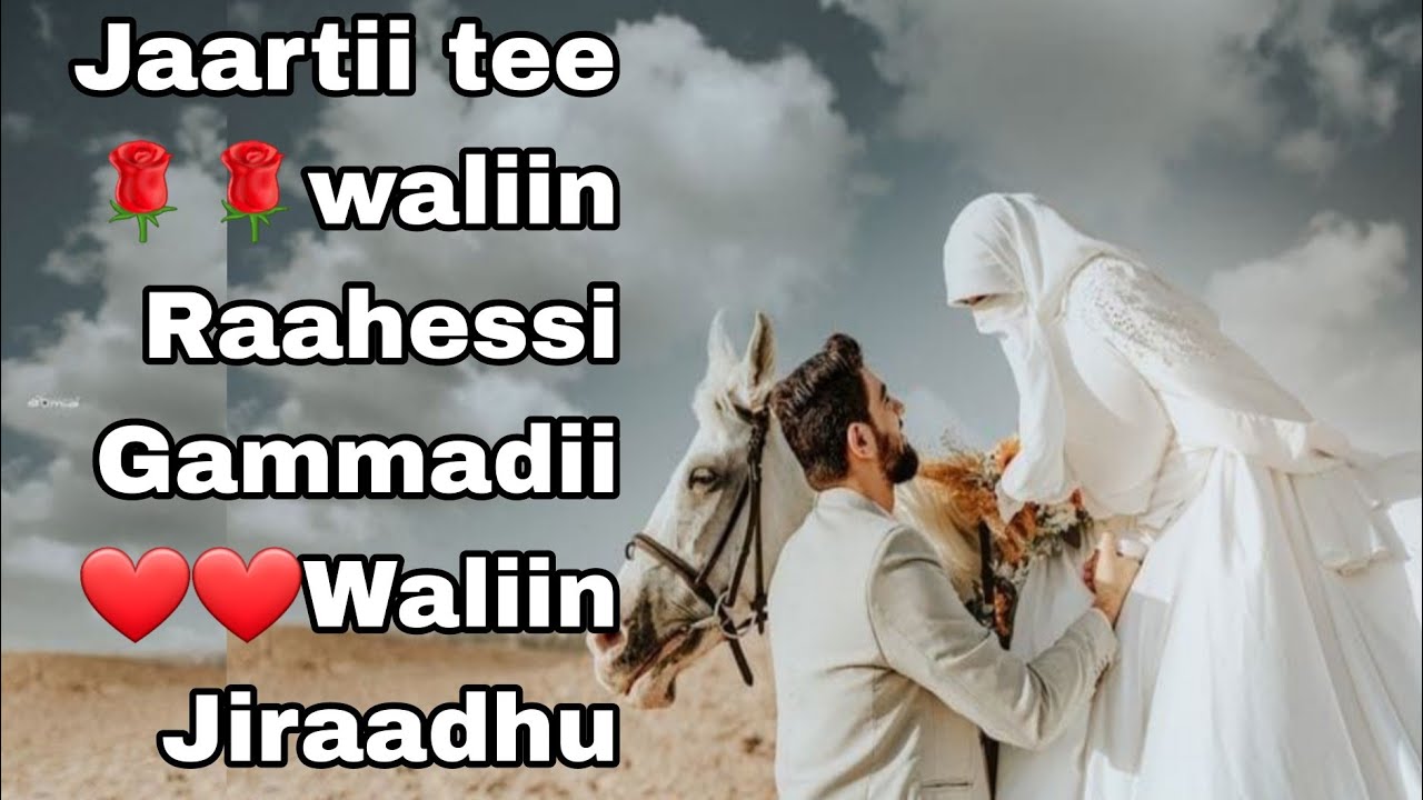 Raahaa qalbii teetii Jaartii tee akkana kunuunsi