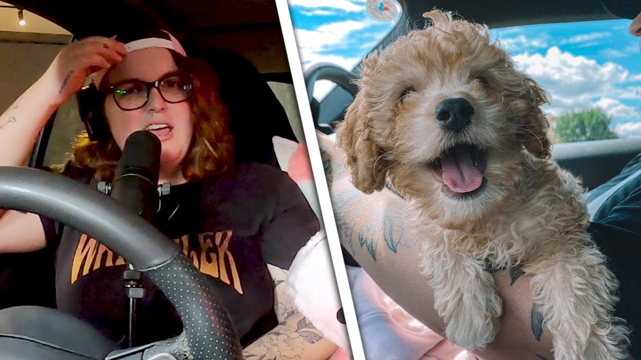 Why TobyOnTheTele Gave Her Dog Away
