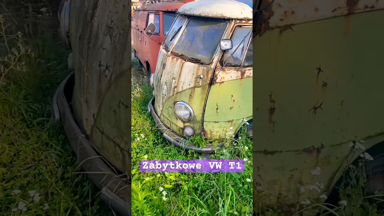 Wyjątkowe transportery T1 #automobile #car #polska #wrost #abandoned #vw #volkswagen #vwtransporter