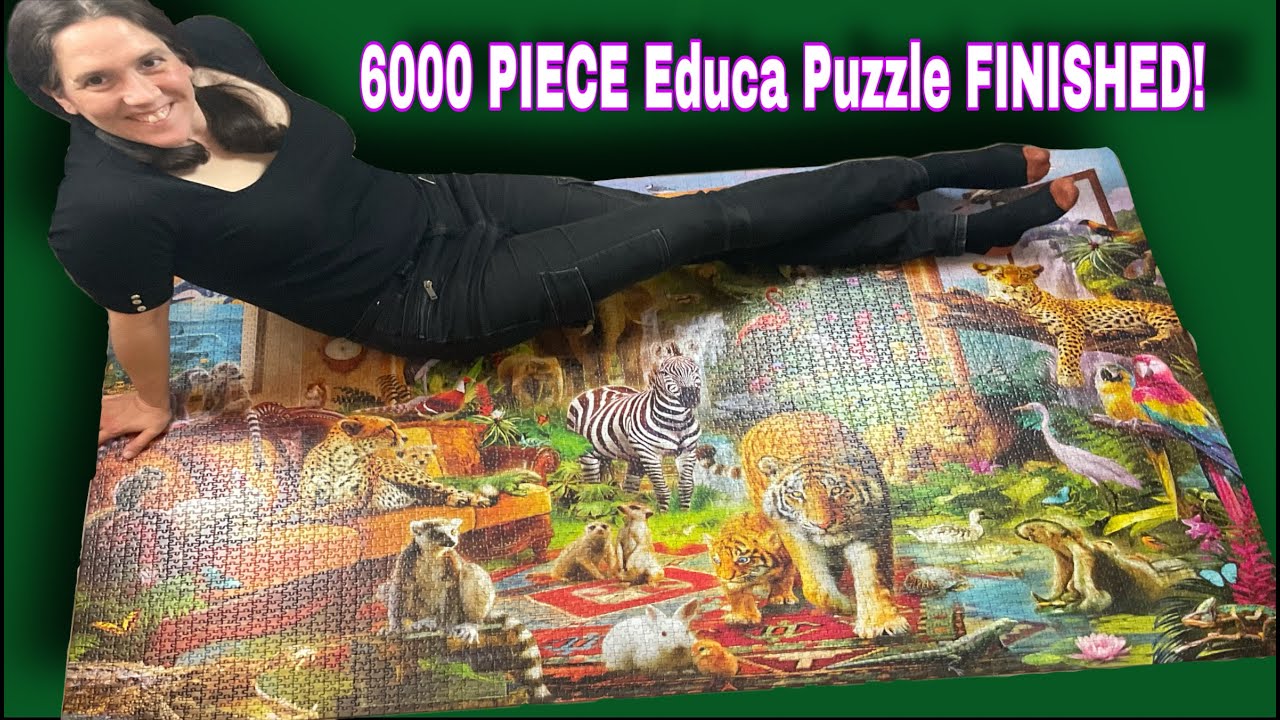 Finishing the 6000 PIECE Entering the Bedroom puzzle (Part 2)