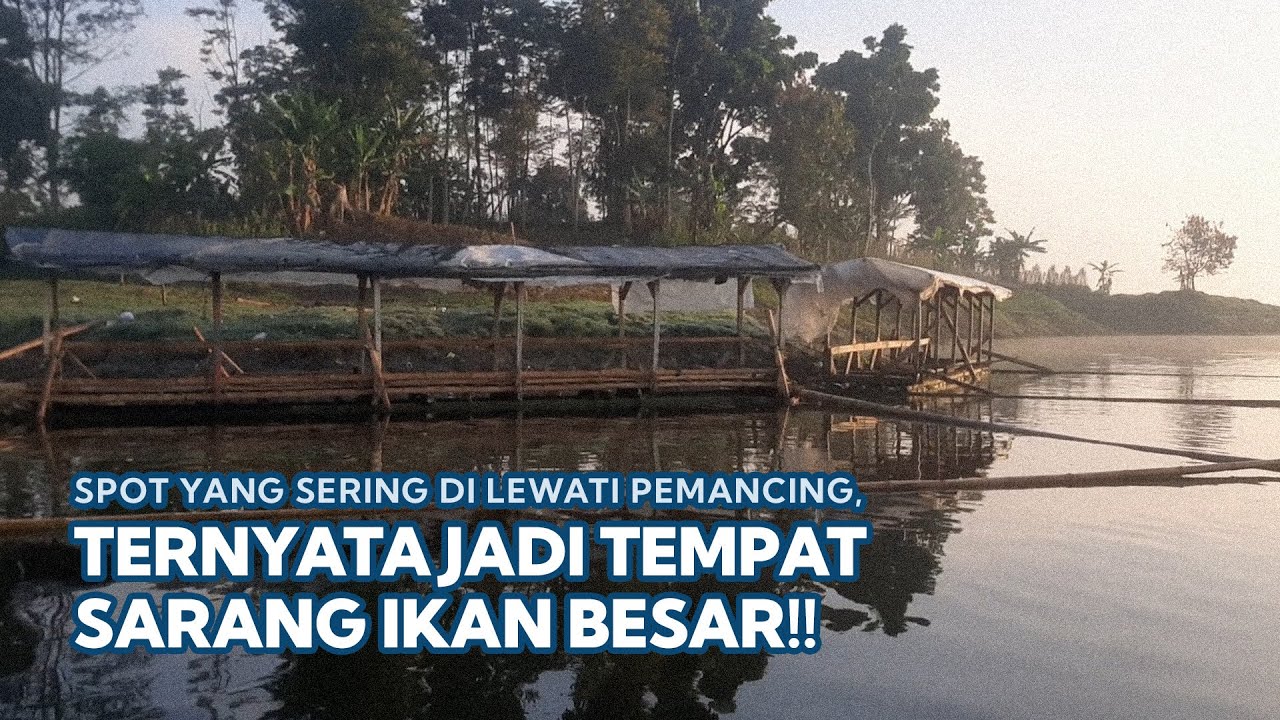 SPOT YANG SERING DILEWATI PEMANCING TERDAPAT IKAN BESAR!! - Mancing Saguling Terbaru 2026&nbsp;#82