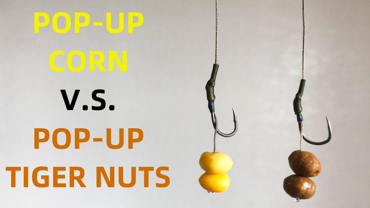 CARP Fishing with Pop-Up Corn vs. Pop-Up Tiger Nuts