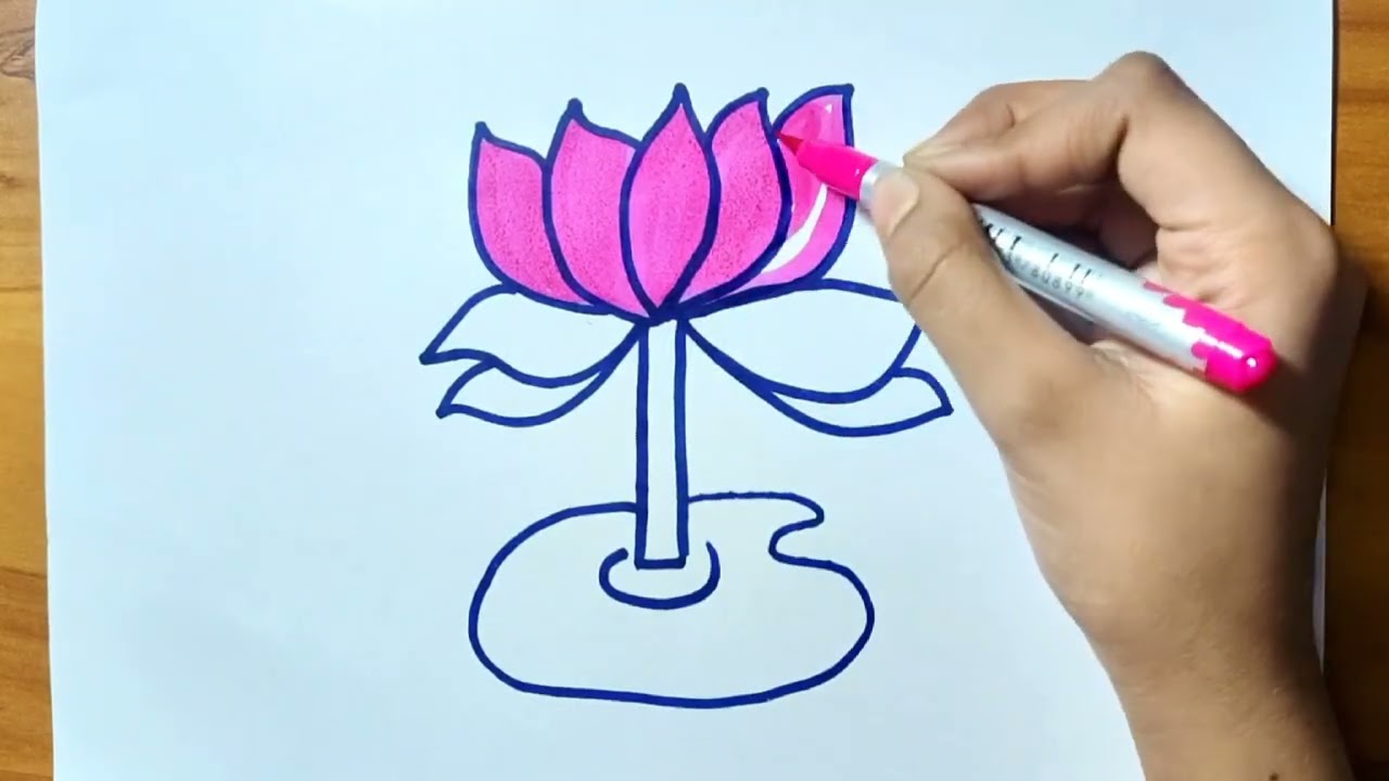 Lotus drawing Joyful Stylish Drawing 