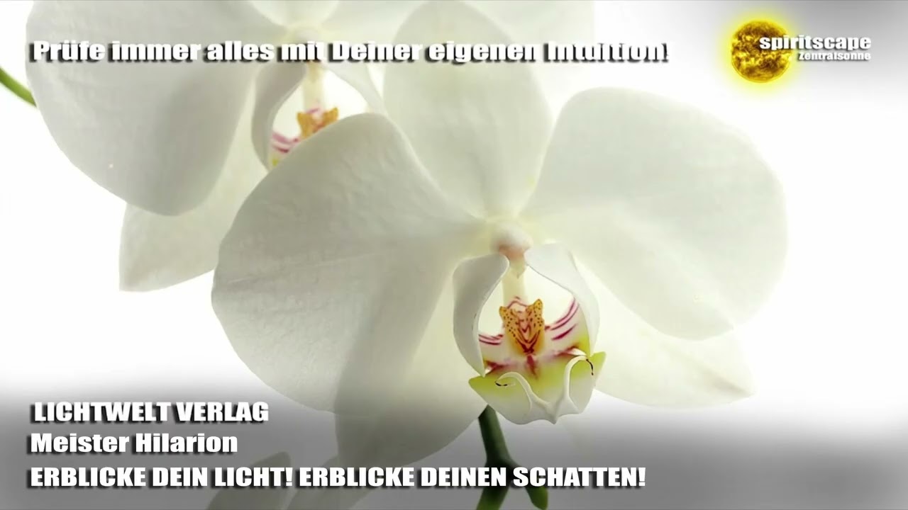 Meister Hilarion - ERBLICKE DEIN LICHT! ERBLICKE DEINEN SCHATTEN! - LWV