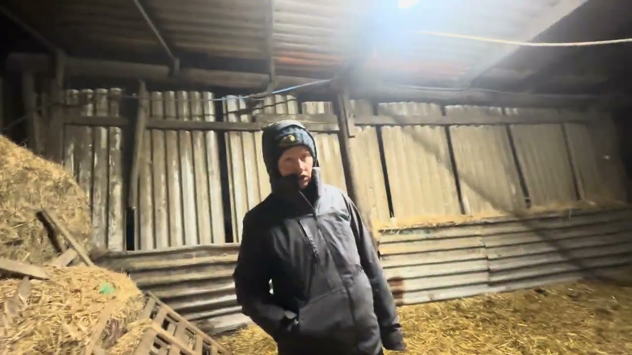 I feed the sheep with farmer mark