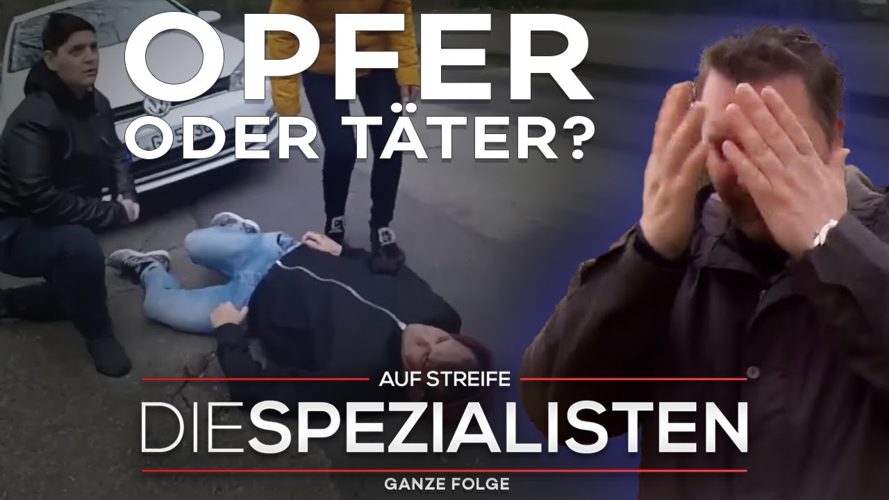 Raub, Pfefferspray, Verkehrsunfall! Notärztin kämpft um zwei Leben | Die Spezialisten | SAT.1