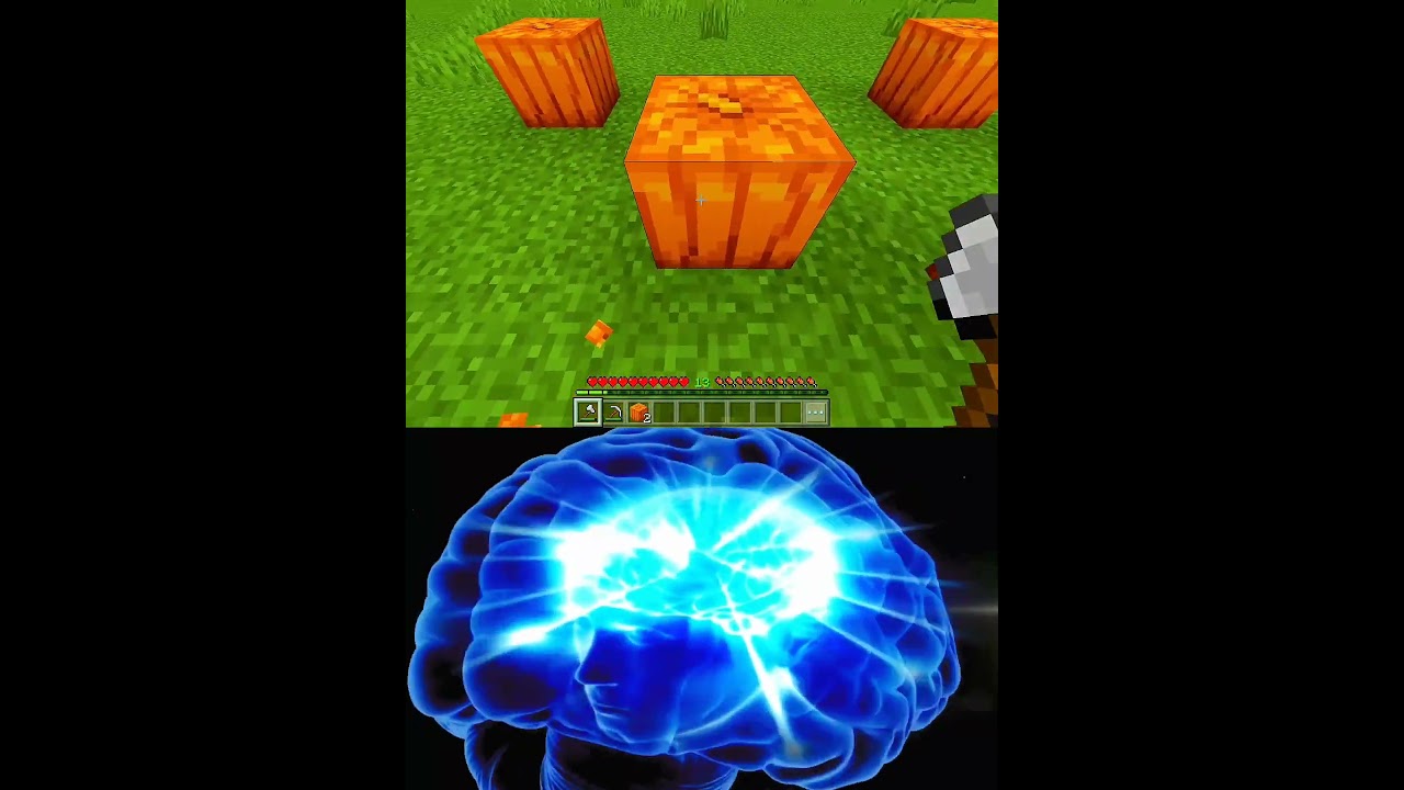 -6969 IQ vs -9669 IQ Minecraft 🤡🤯🐐 (World's Smallest Violin) #shorts