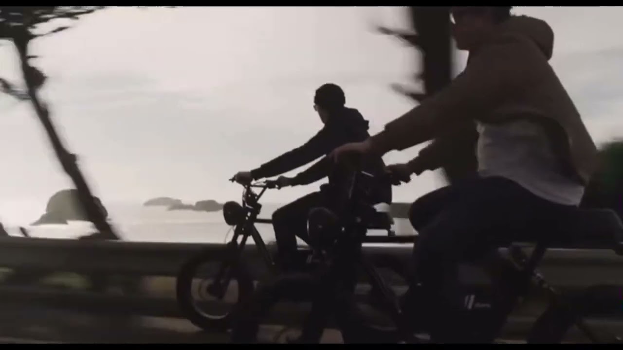 AMERICAN ELECTRIC BIKE the DURO RISE