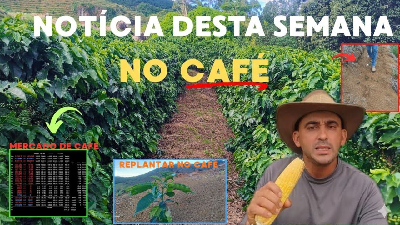 O café Tá Desvalorizado e os Serviço todo Atrasado. E tem que faz......