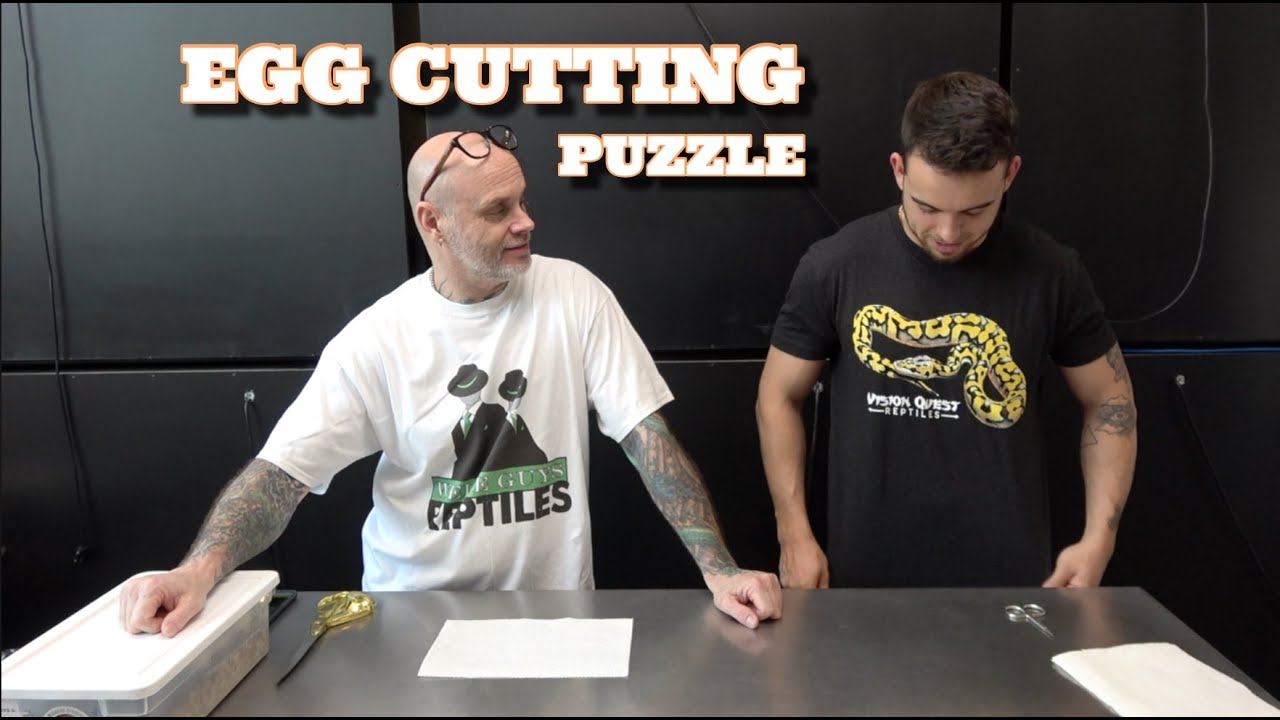 Egg Cutting! Hoping To Make Some Puzzles!