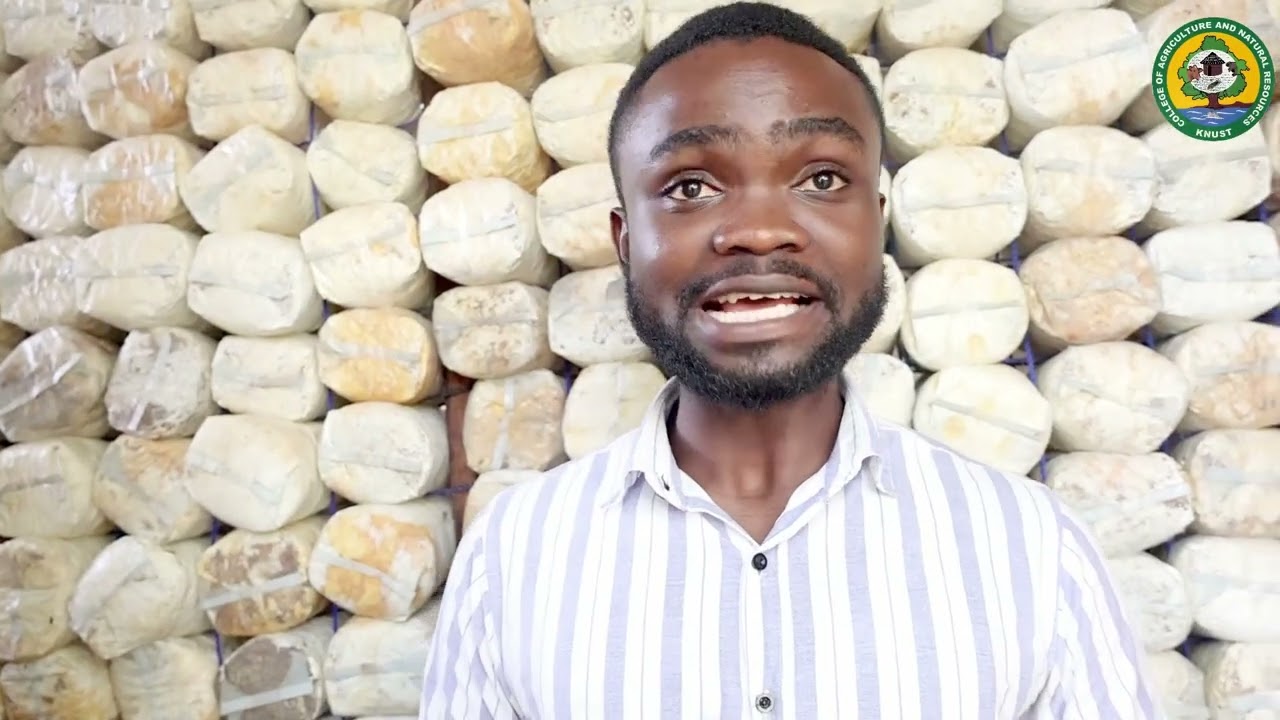 Our interview with Enyinful-Andoh Gideon as he shares his inspiring journey in mushroom production.