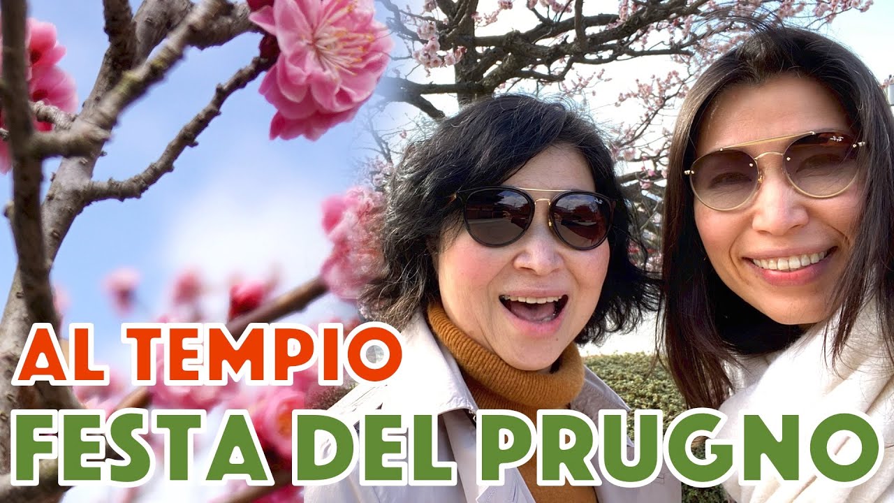 FESTA DEL PRUGNO AL TEMPIO 2021