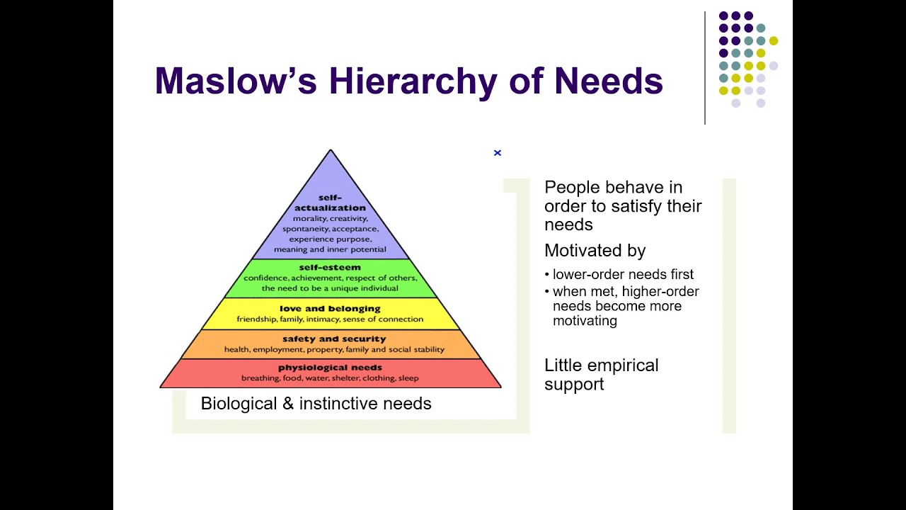 IO Psychology Ch 9.1: Needs Motives Values