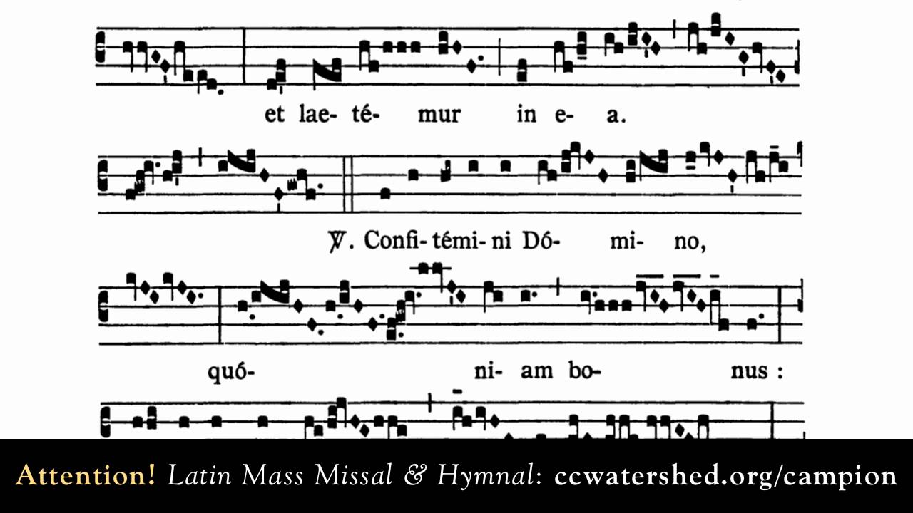 GRADUAL, Hæc dies, quam fecit Dóminus: exsultémus et lætémur in ea.