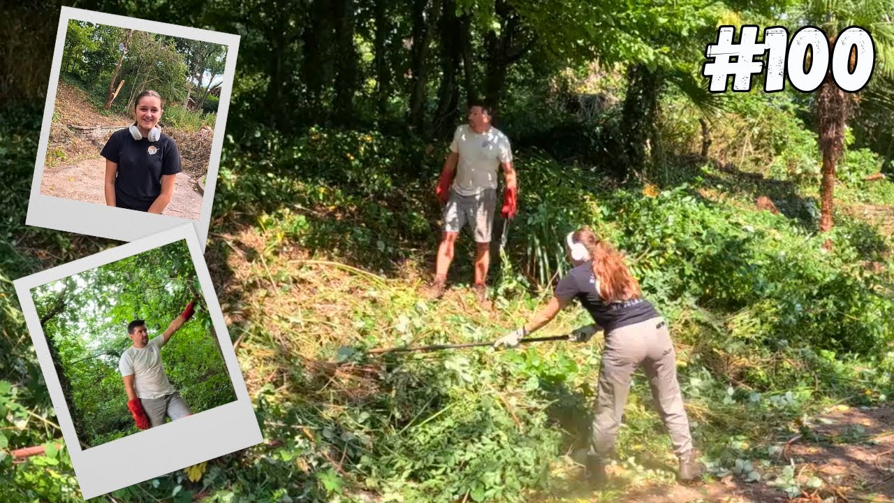 1 Day Garden Clearance – How Much Can We Do?
