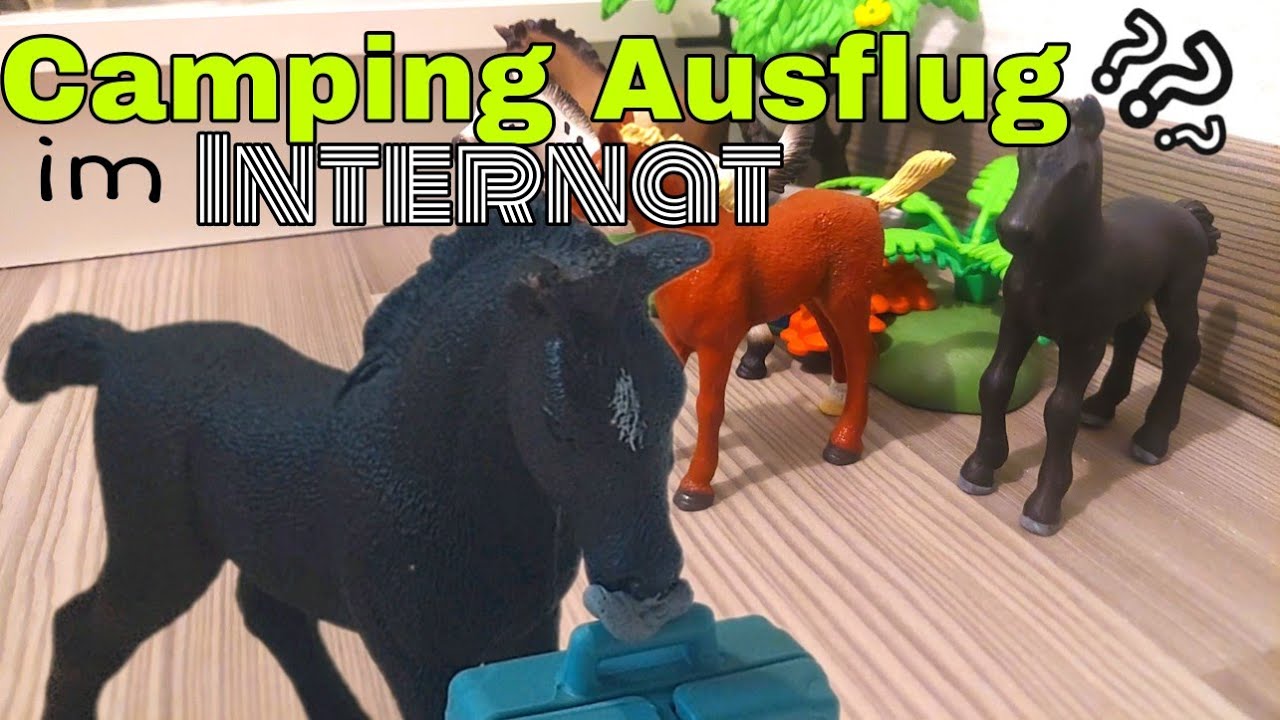 Schleich/Fohlen Internat Hufenglück🌺🐞🍀/Staffel:2 Folge:4/Camping Ausflug im Internat🏕/Lilly Flizi