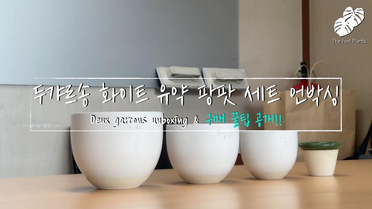 두갸르송 신상 언박싱 & 빠르게 구매하는 방법 공개!! (두갸르송 화이트 유약 팡팟 세트 언박싱 : Deux garcons unboxing)