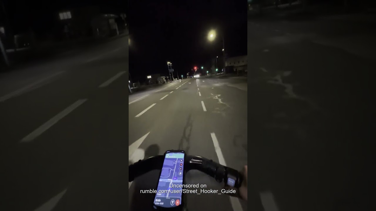 Vienna Street Hookers (Straßenstrich) 2024 - Brünner Straße & Perfektastraße - All Clips combined