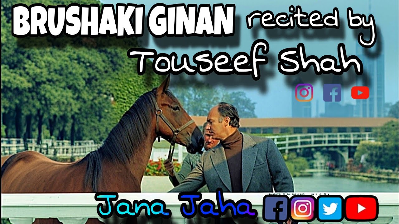 BRUSHAKI GINAN RECITED BY TOUSEEF SHAH // ISMILIA GINAN // 2024 // SUFIYANA KALAM // DUFF // RABAB
