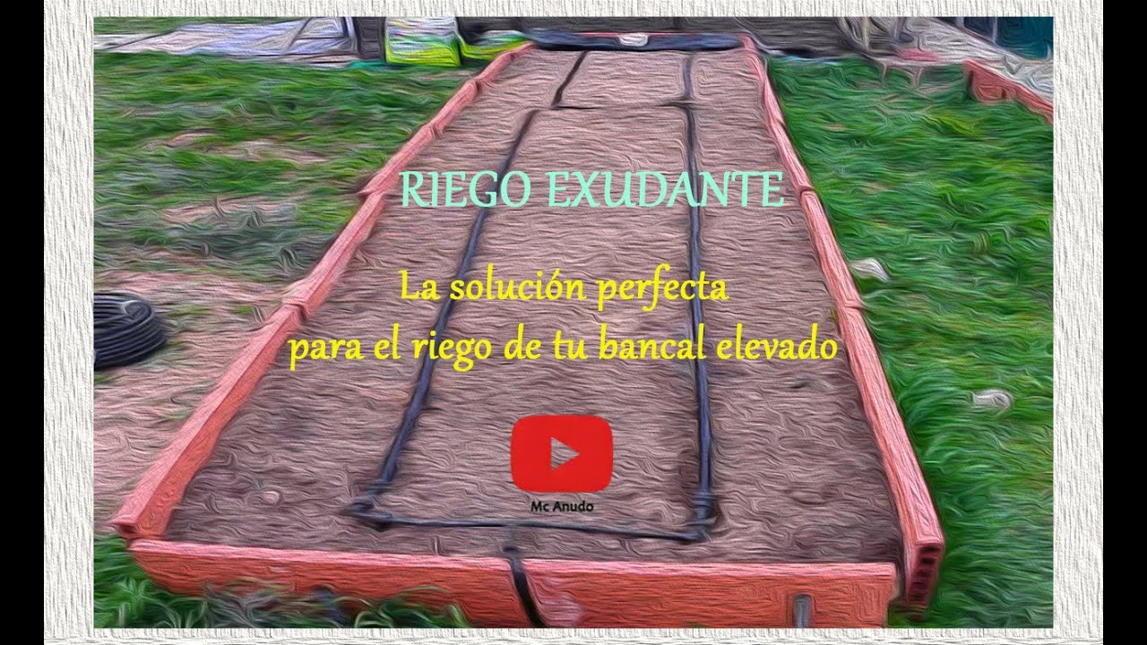 Instalación de riego exudante