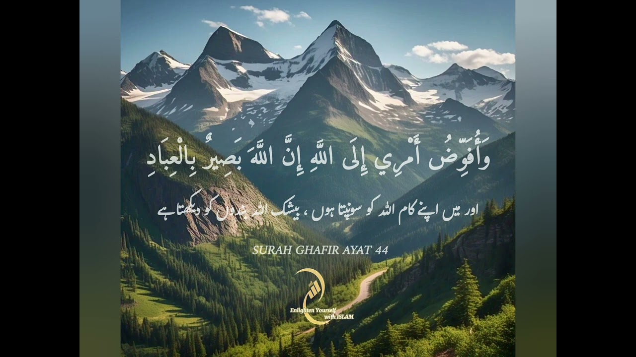 Wa ufawwidu amri ila-Allah, inna-Allaha basirun bil-ibad | I entrust my affair unto God