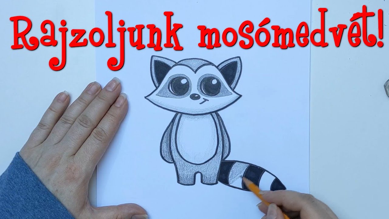 Rajzoljunk Mosómedvét!