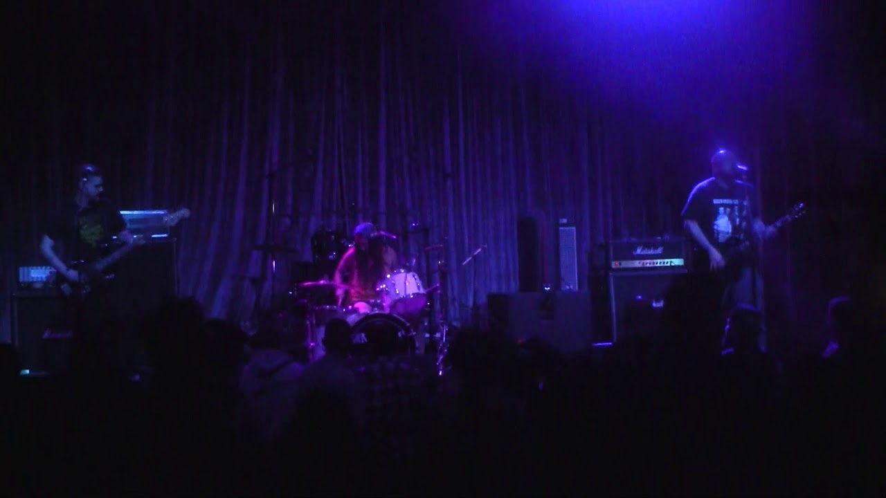 ANIMALS AND CHILDREN -THE REGENT LOS ANGELES CA  2/7/2020 