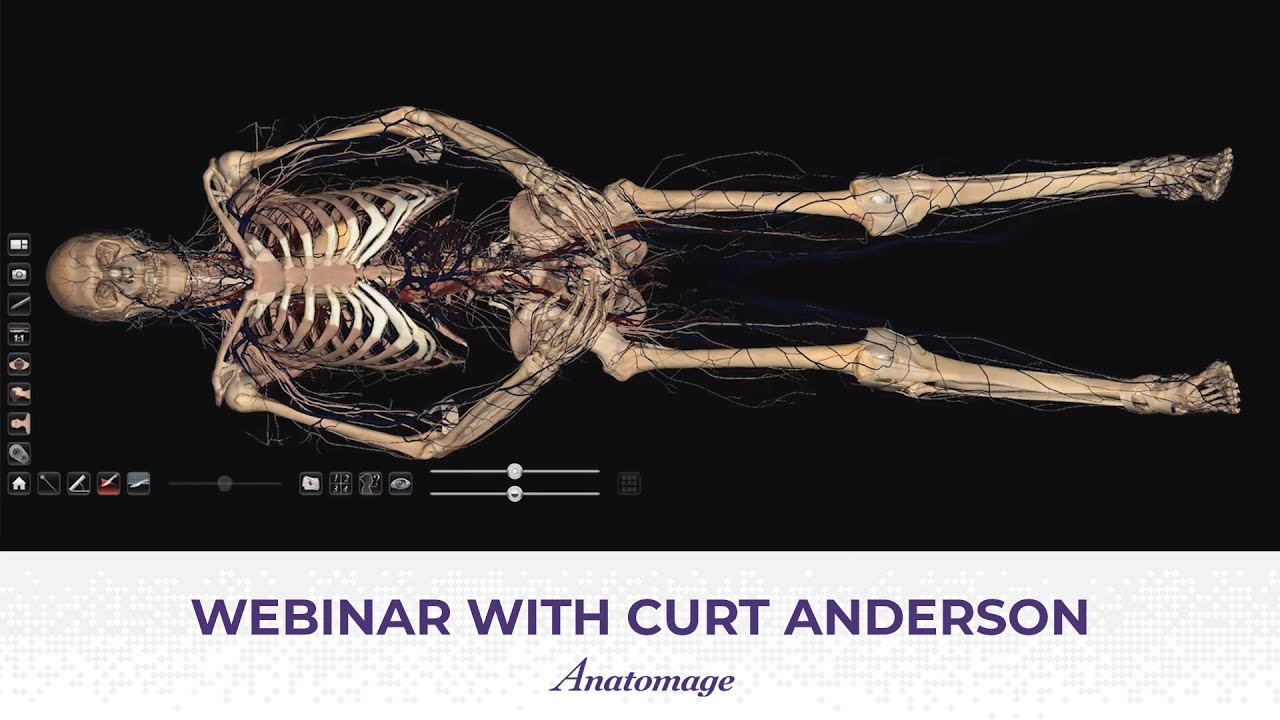 Anatomage Webinar | How to Apply Anatomage to Different Learning Levels by Curt Anderson