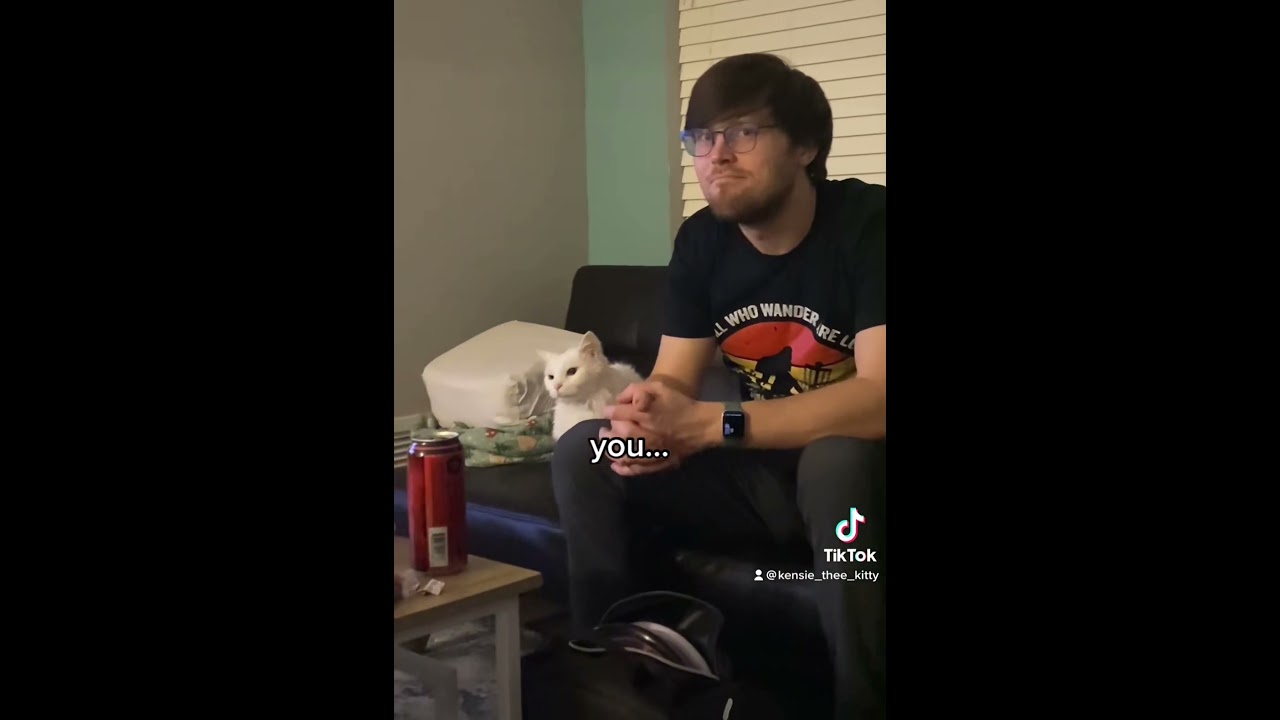 This man was never seen again 😔 #cat #cats #catsoftiktok #catsofyoutube #funnycats #pets #funny