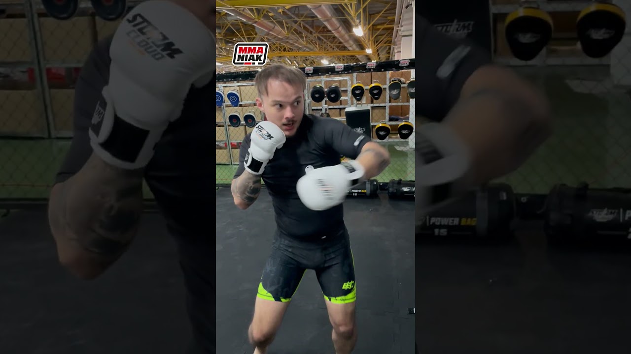 3 modele rękawic do MMA, na kt&oacute;re warto zwr&oacute;cić uwagę #shorts #mmaniak_pl