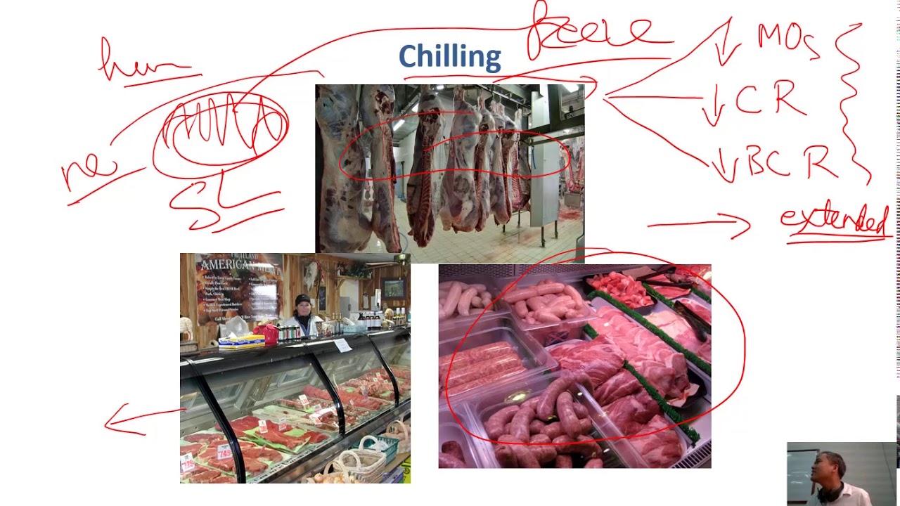 C6-01 chilling and freezing introduction| Meat Technology