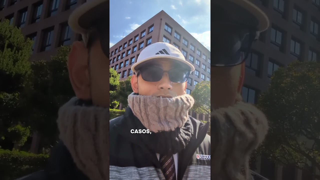 Como Somos Atendidos no Tribunal no Japão? A Verdade Sobre o Atendimento