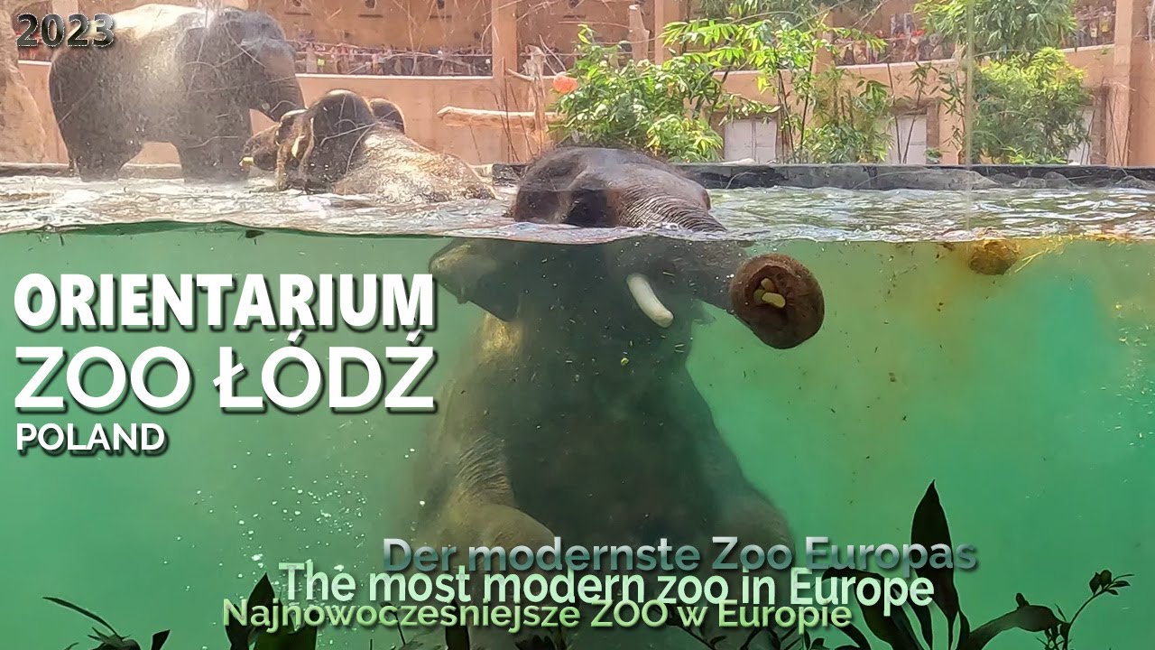 Orientarium ZOO  Łódź 2023 Poland - Warte zobaczenia - Der modernste Zoo Europas - Sehenswert