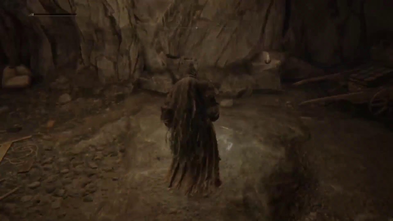 Elden Ring VS Hungry Owl