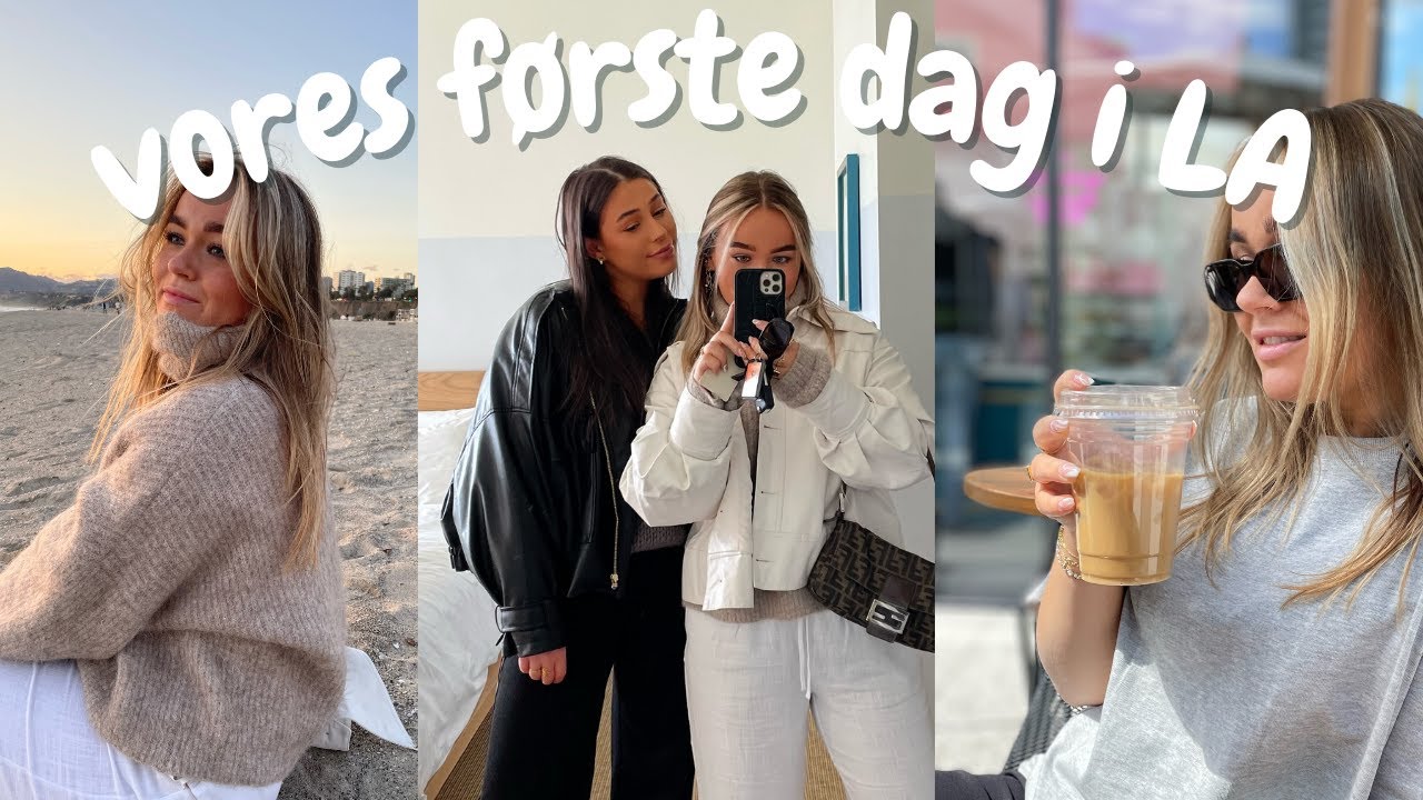 køber SNACKS til hinanden, SOLNEDGANG & carpool KARAOKE *usa vlog*