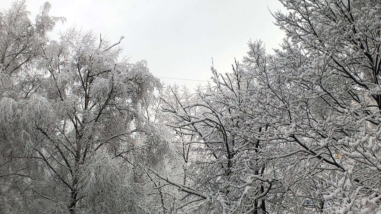 Снежное утро Москва. Moment anamorphic lens, iPhone X, no gimbal.