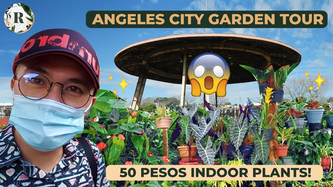 ANGELES CITY PAMPANGA GARDEN TOUR | CHEAP INDOOR PLANTS