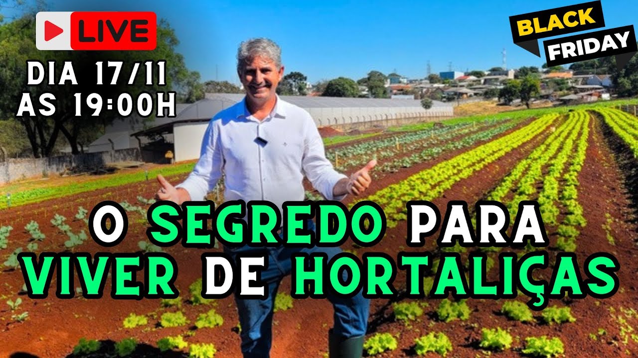 O SEGREDO PARA VIVER DE HORTALIÇAS  - LIVE ESPECIAL - MAGRÃO HORTALIÇAS
