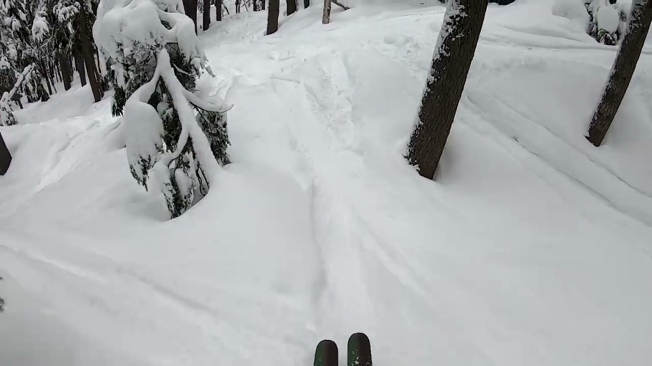 Mt Hood Meadows Tree Skiing Tour