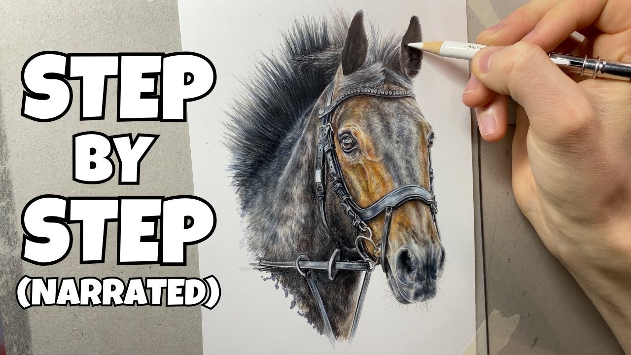 How To Draw A Realistic Horse With Coloured Pencils  | 14 Hour Narrated Masterclass | 4K