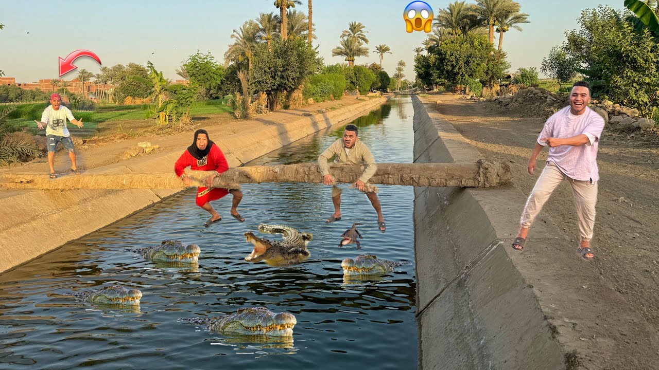 لما ابوك ميرداش يديكم العديه ف العيد ويقع هو وامك في مكان مليان تماسيح 🐊 |عمر نصر