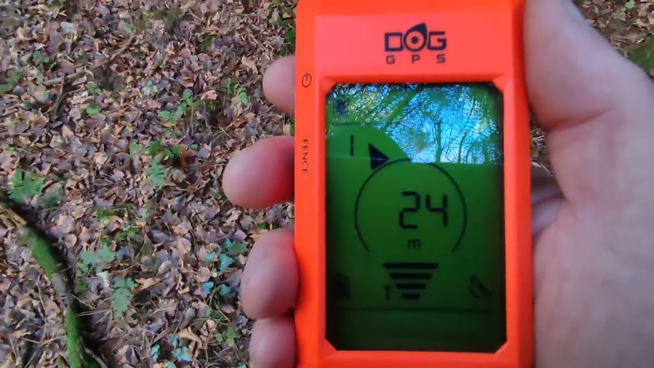 DogTrace X20+  GPS. 2nd test. Sitka Spruce.