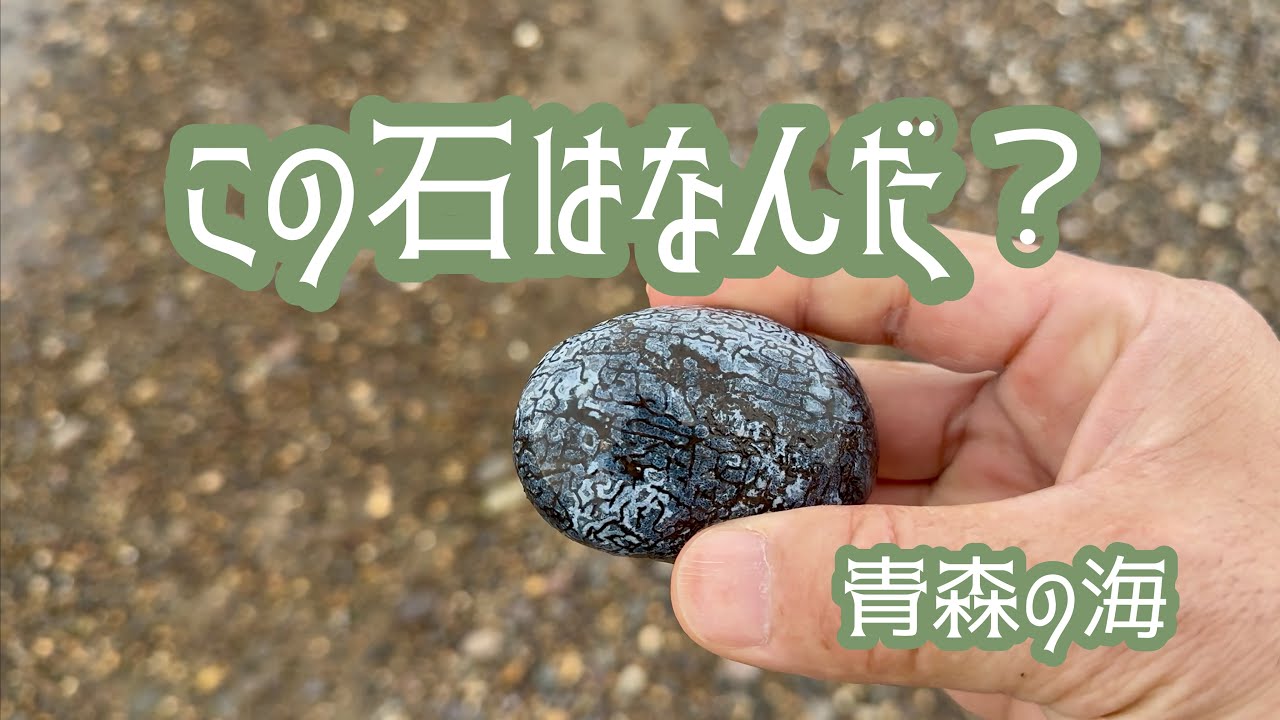 #石 7 【いつもの海で石拾い】この石はなんだ？