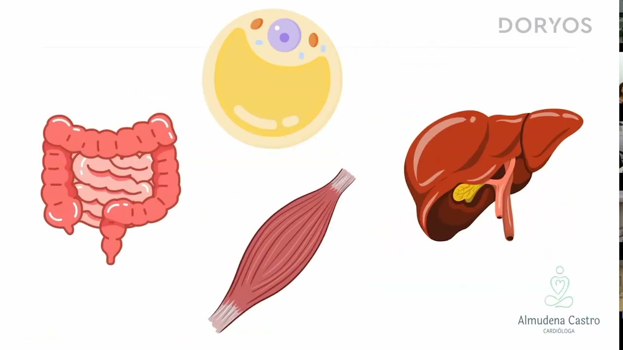 Sesión Clínica: Prevención cardiorrenal en pacientes con adiposidad | Dra. Almudena Castro