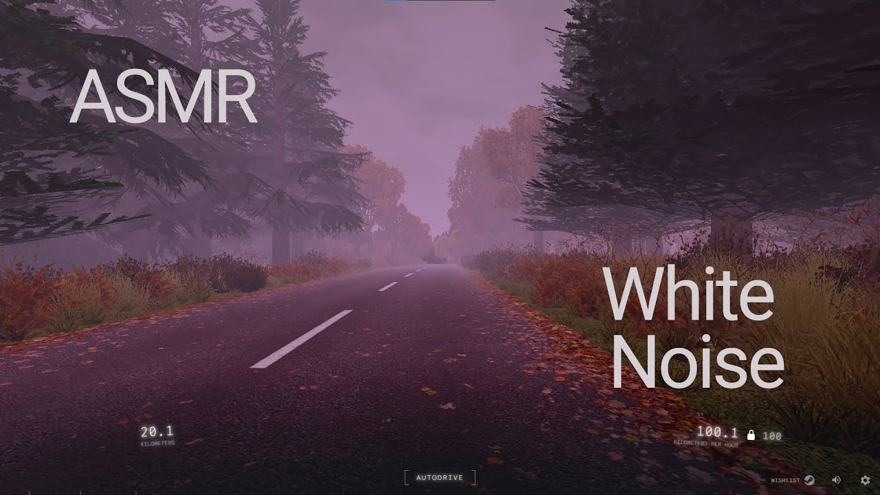 Slow Roads live [White Noise, ASMR]